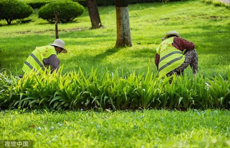 天津城市绿化种植面积占比