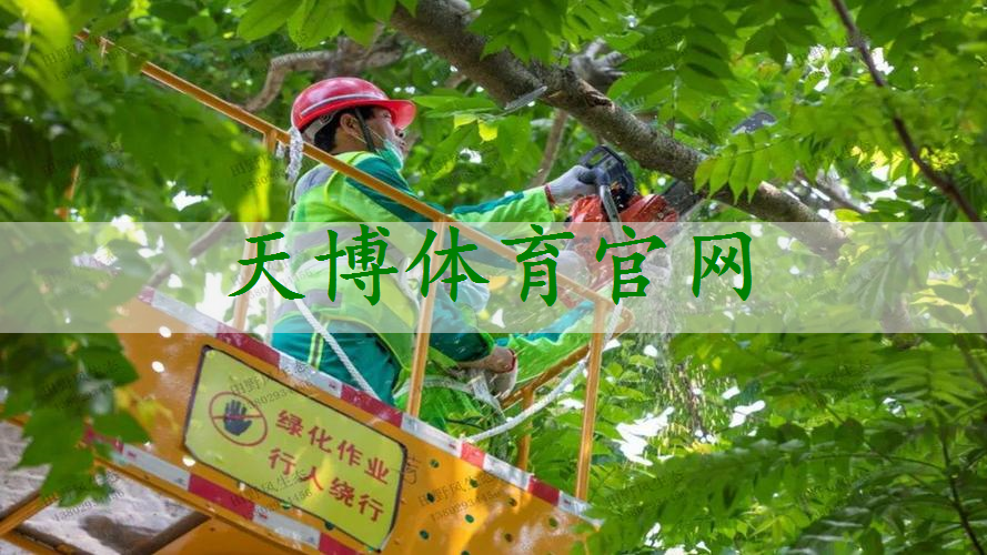 天津市政府绿化工程招标