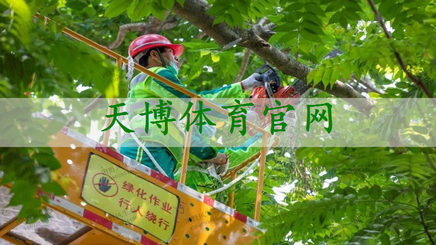 别墅园林景观设计树